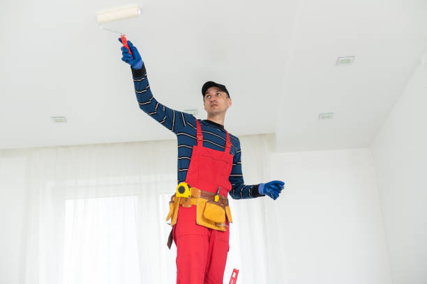 Reliable Bellevue, IL Dry wall and painting Solutions